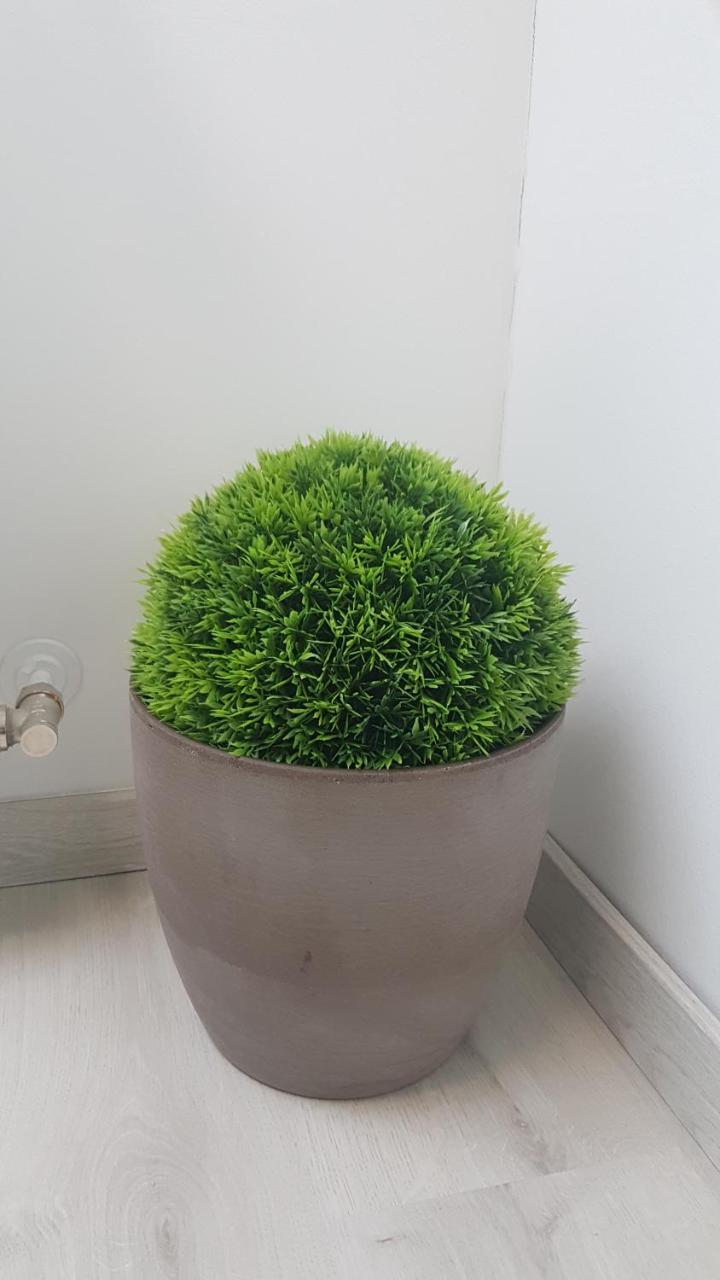 Promenad Apartman 莫哈奇 外观 照片